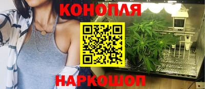 наркотики Будённовск